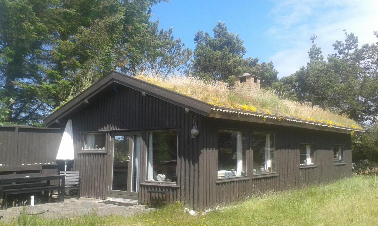 Konkylien Villa Pandrup Bagian luar foto